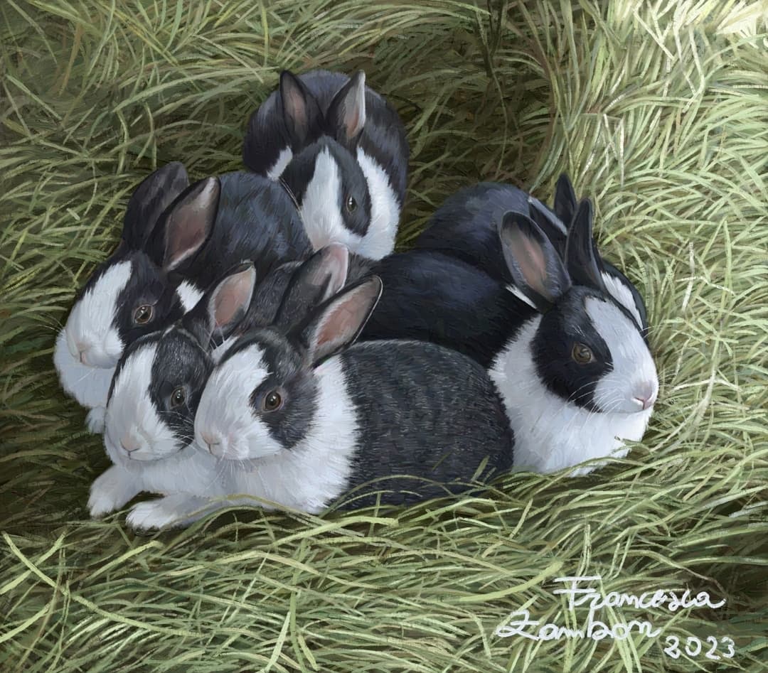 Digital painting. Five black-and-white Dutch rabbits lying in the hay.