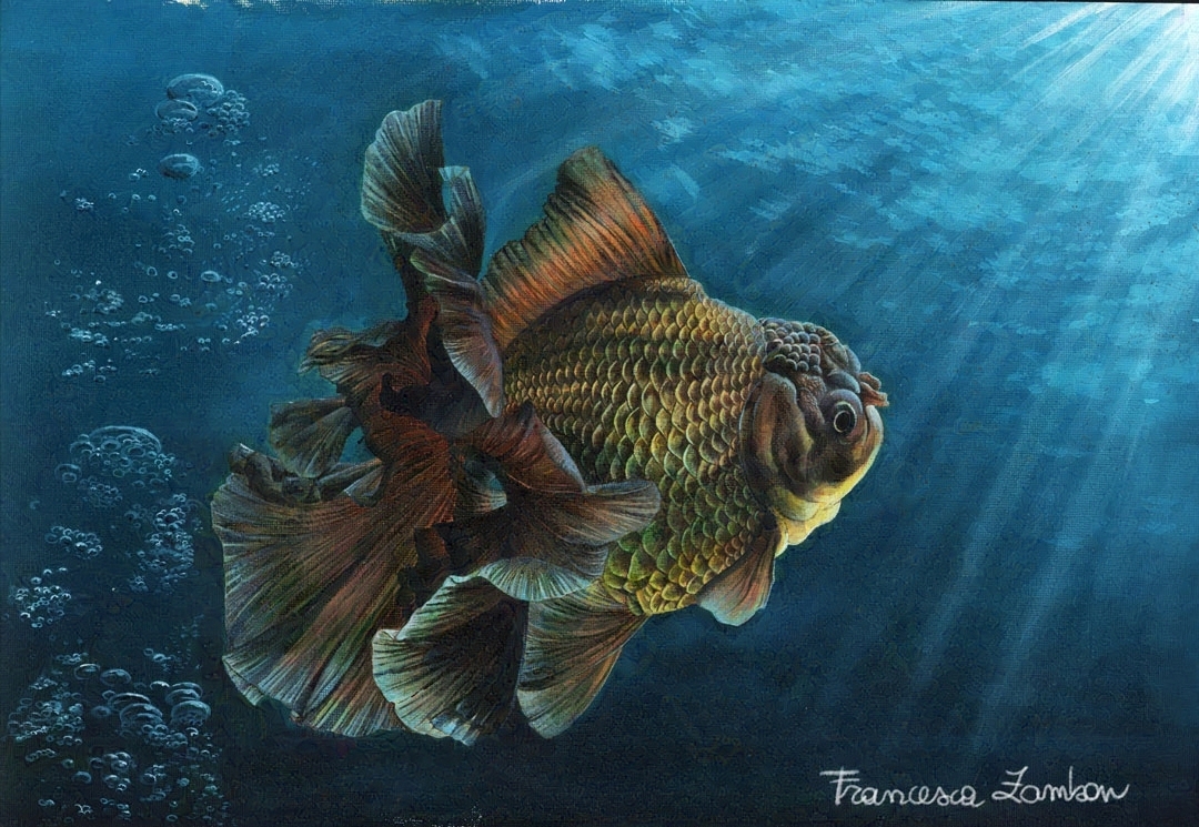 Oil painting of a black oranda goldfish with a long frilled tail. On the left side bubbles are coming up. On the right side light is raining down from above the water surface.