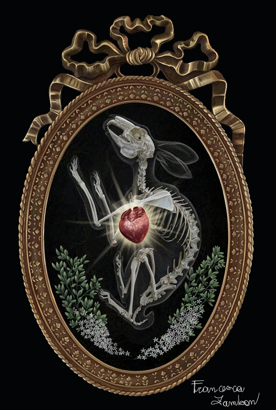 Rabbit Heart Digital painting: an oval antique metal frame with a ribbon shape on top. Inside the frame is a rabbit skeleton lying on its side cradled by little white flowers on both sides. In the rabbit's ribcage is a human heart that shines with warm yellow light.