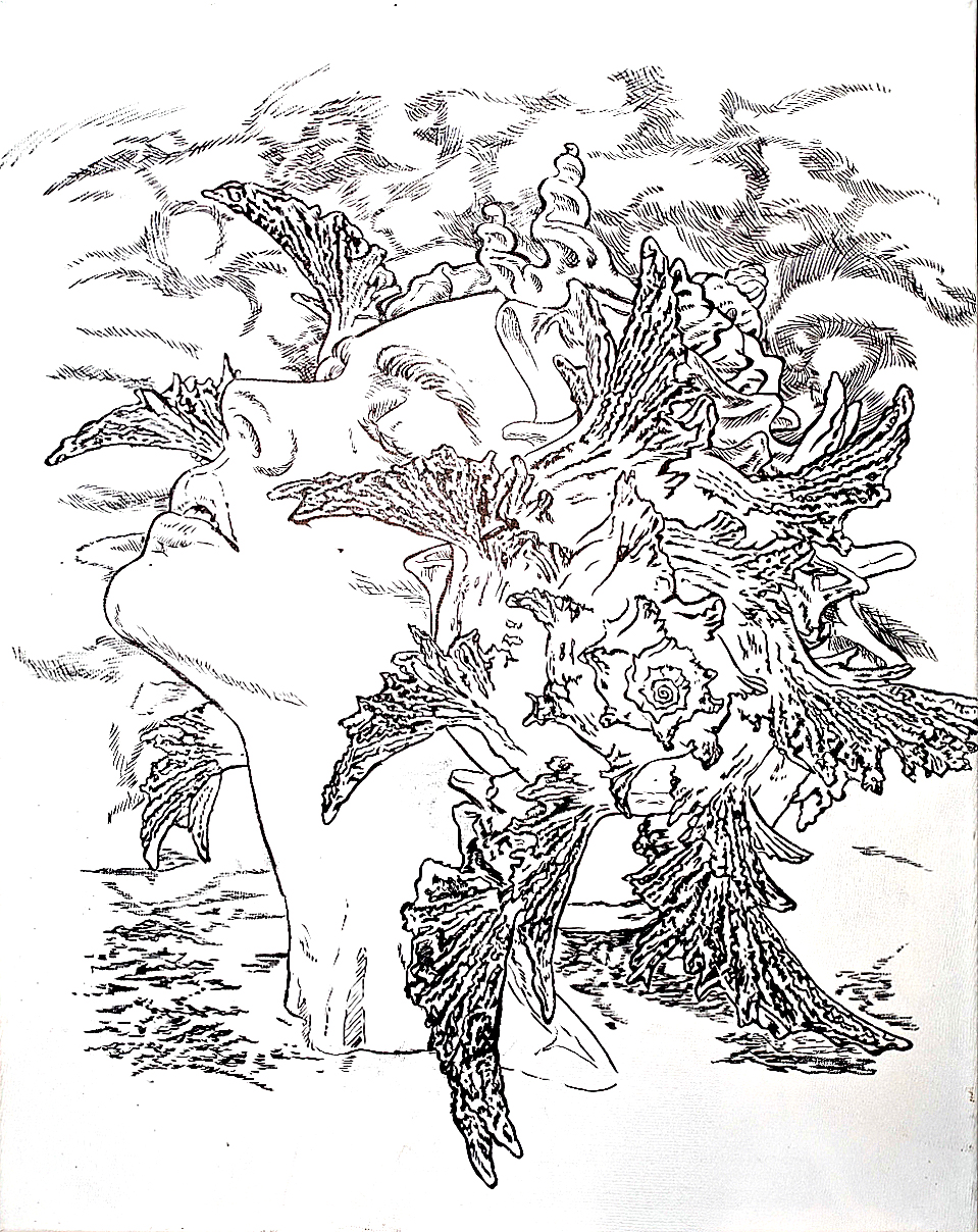 Detailed black-and-white illustration of a woman emerging from the water and wearing intricate seashell formations in place of hair, with delicate textures and flowing lines.